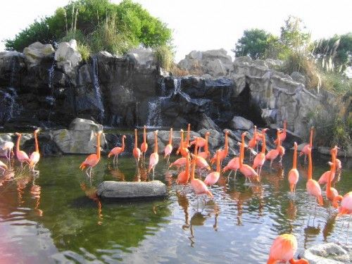 _- Tremenda atrevida -_: Ff