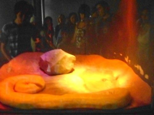 _- Tremenda atrevida -_: Ff