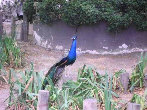 _- Tremenda atrevida -_: Hh