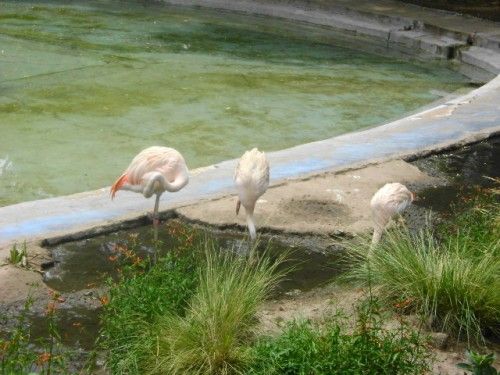 _- Tremenda atrevida -_: G