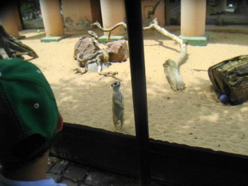 _- Tremenda atrevida -_: Dd