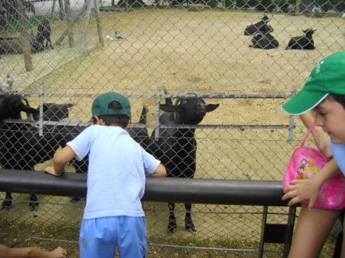 _- Tremenda atrevida -_: J